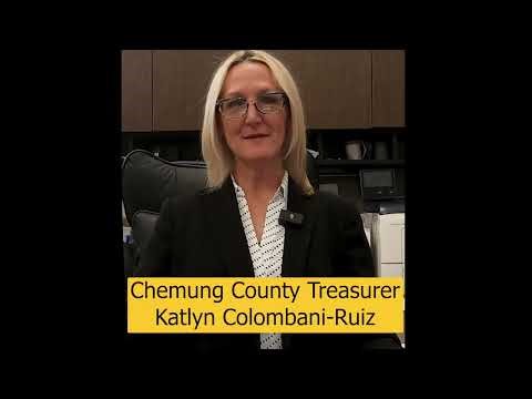 Tax Search Program - Tutorial