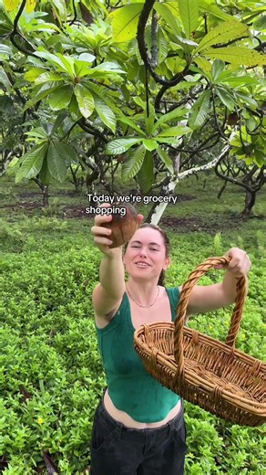 Grocery Shopping Tips for Growing Seeds from The TreeHouseChick