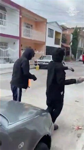 Sujetos lanzan bombas molotov a casa de adolescente que mató a gatito que adoptó