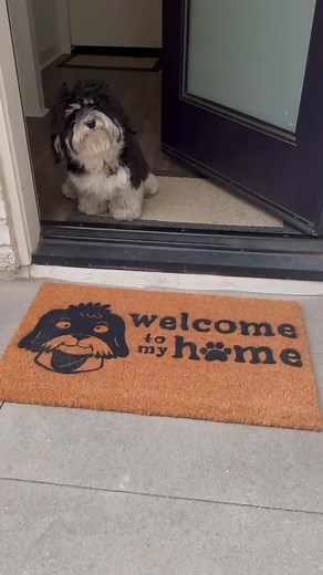DIY Dog Doormat Crafting Guide