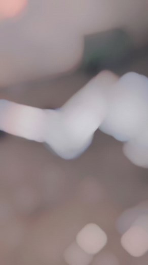 67K views · 582 reactions | Roller pigeon | Kirmani Breeding Farm | Facebook