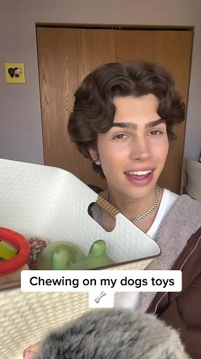 Chewing on My Dog's Toys | ASMR Mukbang