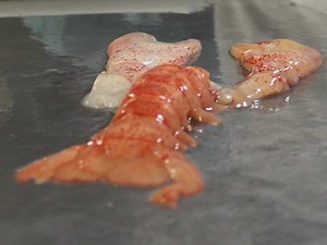 Can you cook lobster without the shell? [2025] | QAQooking.wiki