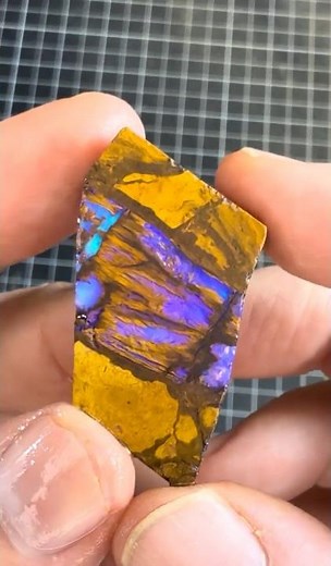 Pretty Opalized Wood!!! #thecometopalmine