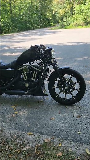 Custom Harley Davidson Sportster Iron 883. #iron883