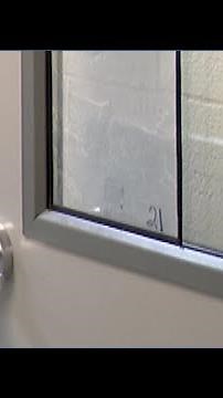 Kitsap Humane Society reopens after influx of animals from hoarding case
