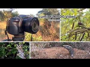 Lumix FZ1000 Video Test