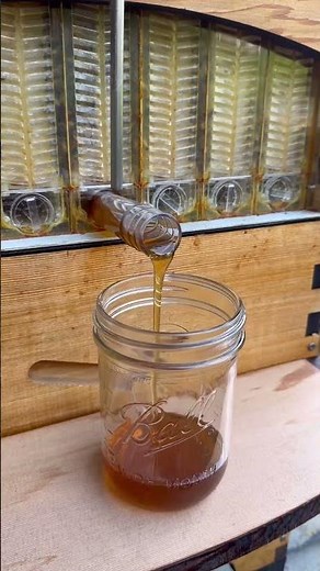 Harvest by @meggrowsplants 🌸