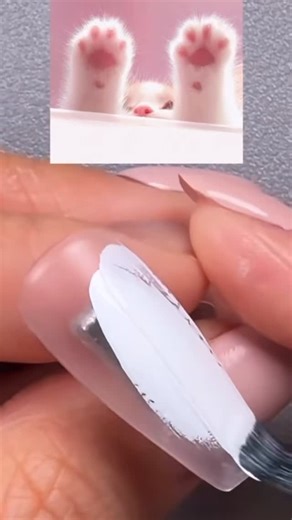 😇😇 on Instagram: "For cat lovers : cute cat pad paw nail design 😎"