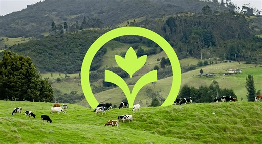 Agrimo | Agriculture Farm