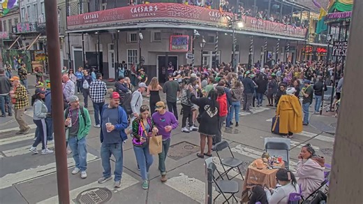 Bourbon Street after dark hits different. 💜💚💛 The neon’s glowing, the brass bands are blasting, and the party is rolling deep into the night in New Orleans. Watch it all unfold LIVE. No cover charge. No crowds. Just pure Mardi Gras magic. 🎭🔥 | EarthCam