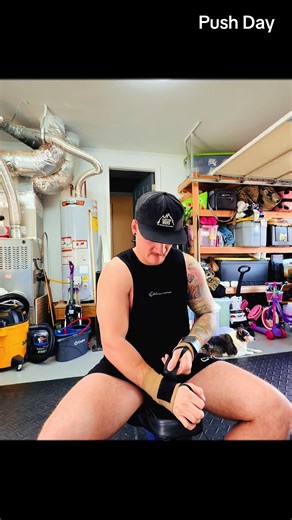 Today’s Push Day! Felt a pretty good pump after this one! Incline DB Press 3x8-10 Seated Shoulder Press 2x8 Low to High Flys 3x15 Katana Extensions 3x10-12 Cable Lateral Raise 3x10 Weighted Dips 2xFailure #pushday #benchpress #workoutroutine #triceps #chest