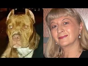 Pit bull mauled its 70-year-old owner to death and feasted on her body in her own backyard