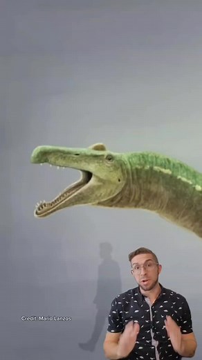 Spinosaurus was a massive, semi-aquatic predator with a long, crocodile-like snout, perfectly suited for hunting fish. Living in North Africa's river systems, it shared its habitat with large fish, turtles, and even other dinosaurs like Carcharodontosaurus. Its distinctive sail and paddle-like tail helped it move through water, making it an efficient swimmer in its riverine environment. Spinosaurus is one of the largest carnivorous dinosaurs, and its weird lifestyle sets it apart from other ther