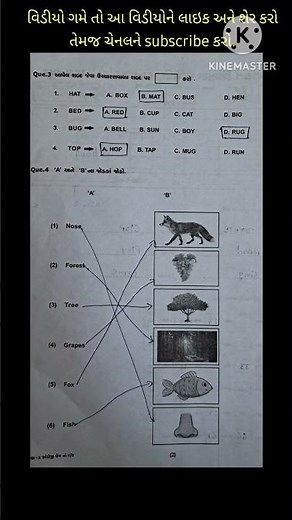 dhoran 3 angreji pepar solution 2025|| std 3 english pepar solution || ધોરણ 3 અંગ્રેજી પેપર ||
