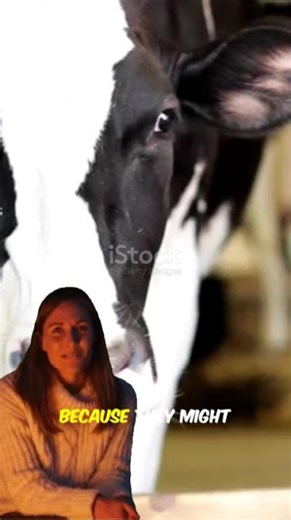 2 Funny Jokes in 30 Seconds😂#ComedyShorts#FunnyJokes #LaughOutLoud#YouTubeShorts#QuickLaugh#MemeLife