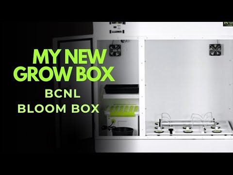 My New Grow box... The BCNL Bloom Box Facebook Market place find!