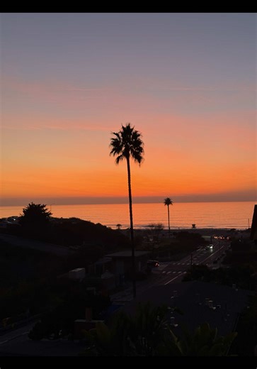 Emotional Moments in Zootopia 2 Revealed