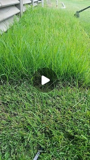 Conner Lawn on Instagram: "Watch me whip this thick Zoysia grass into shape with the Stihl FS94R using CF3- PRO .95 trimmer line #lawncare #lawncareservice #satisfyingvideos #beforeandafter #explore #reels #transformation #satisfying #oddlysatisfying"