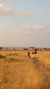 😄 Unexpected message (2026 joke) | Abdul Yusif Abubakar