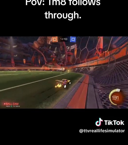 Exploring the Solitude of Great White Sharks