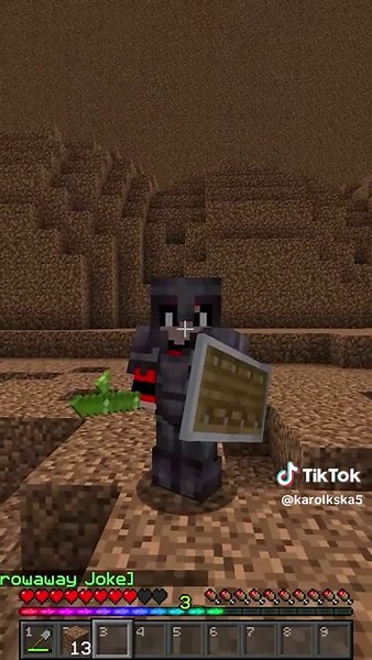 karol_edzzi na TikTok