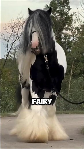 2 Enchanting Facts About The Gypsy Cob Horse #horse #equestrianjourney #equestrian