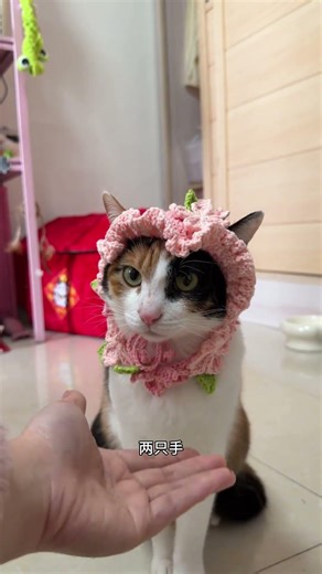 3 Unique Ways to Cook Fish + My Cat's Adventure