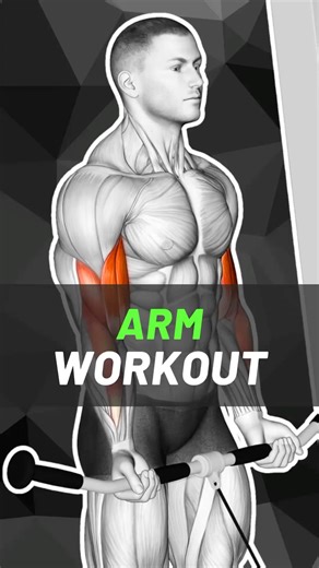 Arm Gym Workout 💪