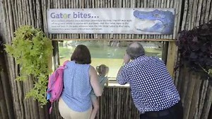 Alligator Exhibit opens at the Montgomery Zoo.
