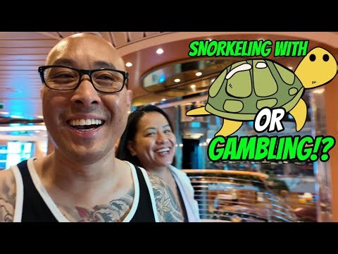 Which was BETTER? SNORKELING with TURTLES or GAMBLING?