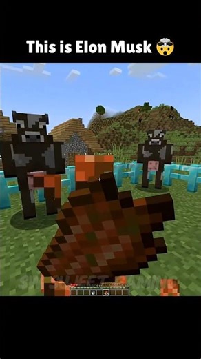 Minecraft Cow Walking on 2 Legs 😳 #minecraft