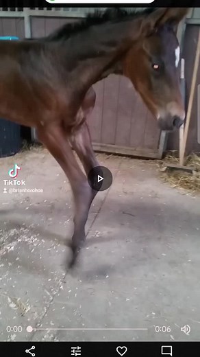 1.4K views · 90 reactions | Case Study: Management of Contracted...