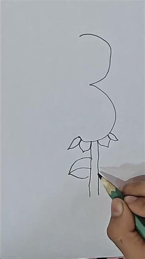 How to draw a rose. step by step easy and simple drawing with pencil for kids