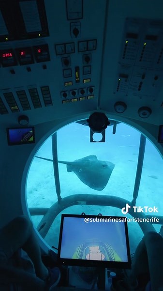 Submarine Safari Adventures: Explore the Ocean Depths