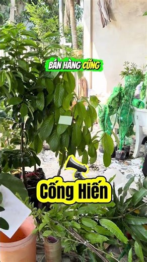 Can someone define the word "Cống Hiến" (Dedication) for a shop?