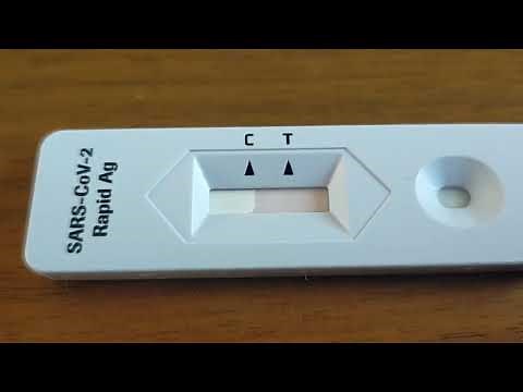 「陽性」抗原検査キットの判定の様子。