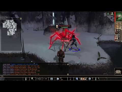Neverwinter Nights: EE - Human Monk in Doom of Icewind Dale - Episode 2 Part 5