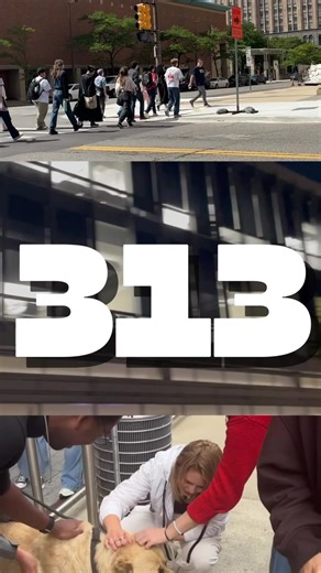 Happy 313 Day Detroit: CCS Celebrates 125 Years in the City