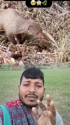 সৃষ্টিকর্তা সকল প্রাণীকে নিজের আত্মরক্ষার ক্ষমতা দিয়েছে 🫡 #shorts