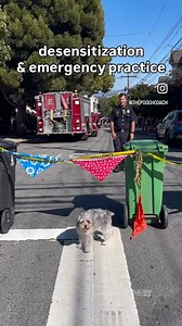 512 reactions · 17 shares | Here we are taking advantage of another...