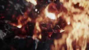 If the asteroid had struck anywhere else, the dinosaurs might not have gone extinct. #OneStrangeRock | National Geographic TV