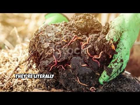 How Are Amish Gardens So Productive