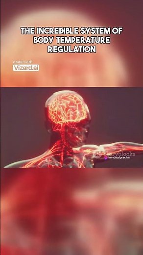 Hypothalamus | The Incredible System of Body Temperature Regulation | Function of Hypothalamus