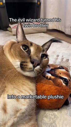 Gosha uses himself as pillow 🥹 Limited Plushie Gosha available on the...