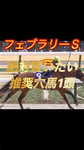 フェブラリーステークス2026 絶対買いたい推奨穴馬1頭紹介