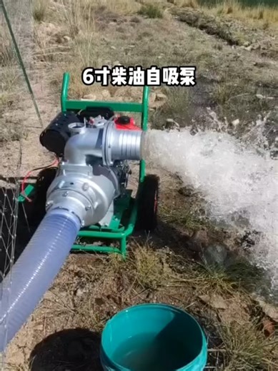 Efficient 6-Inch Self-Priming Irrigation Pump Solutions