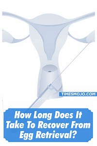 How long does it take to recover from egg retrieval? - TimesMojo