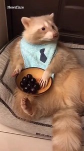 Me: I'll have just one. Also me: Eats the whole bowl | The Sun