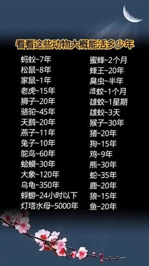 蚂蚁7年，灯塔水母5000年…生命长短各异，珍惜当下每一刻 🌟🐢 #冷知识科普 #动物寿命